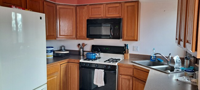 Kitchen (Stove, Microwave, Fridge, Dishwasher) - 410 Echo Ln