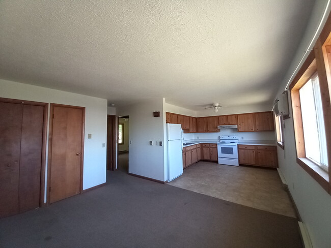 Living Room and Kitchen - 101 N Campbell St