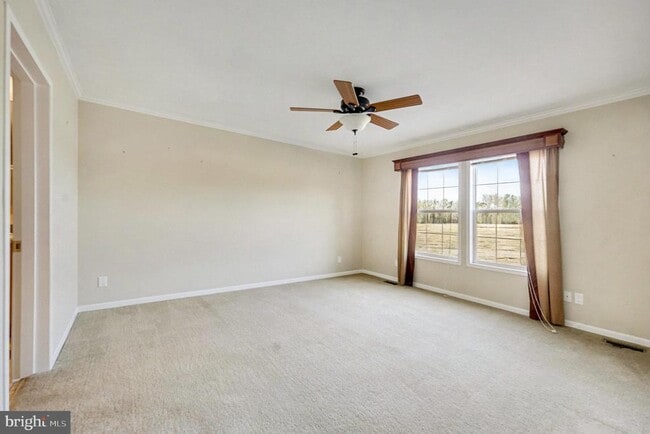 Building Photo - 24076 Zachary Taylor Hwy