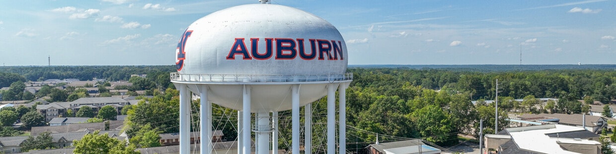 Auburn city image