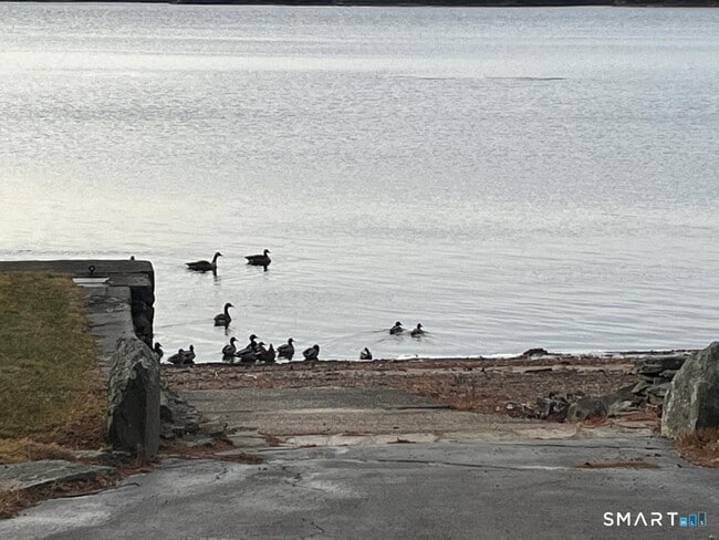 Foto del edificio - 71 Ellington Rd