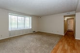 This single-floor space offers a practical and functional layout designed for comfortable everyday living. The main living area features plush wall-to-wall carpeting and flows openly into a dining area, which is distinguished by light hardwood-style flooring and a ceiling fan overhead. A large window dressed with vertical blinds fills the living space with natural light, creating a bright and welcoming atmosphere throughout. Textured ceilings are consistent across the space, adding a subtle design detail.

The galley-style kitchen is efficiently arranged with dark wood cabinetry lining both sides, white countertops, and matching white appliances including a coil-top range, refrigerator, and dishwasher. A stainless steel sink and under-cabinet lighting complete the functional setup. The hardwood-style flooring continues through the kitchen, providing a clean, easy-to-maintain surface.

The bedrooms are carpeted and generously sized, with one room notably featuring dual reach-in closets side by side, offering ample storage space. A window provides natural light to this room. The bathroom includes a dark wood vanity with a single sink, a large mirror, tile wainscoting along the walls, and hardwood-style flooring, giving it a clean and classic appearance.