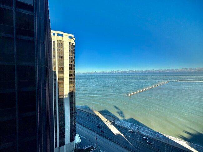 Foto del edificio - 900 N Lake Shore Dr
