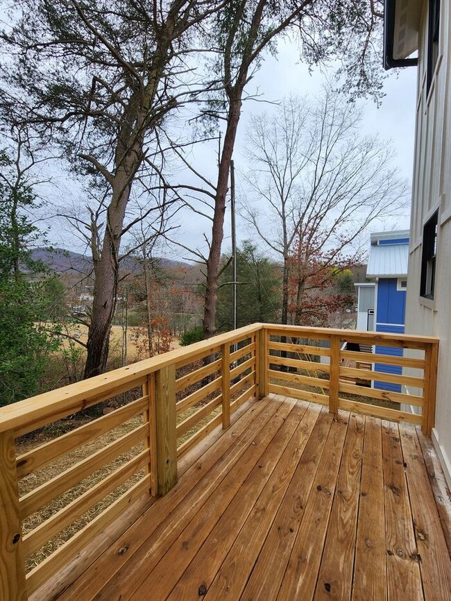 Building Photo - New Construction-Swannanoa!