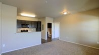 This single-floor space is designed with an open-concept layout that seamlessly connects the kitchen and living area, creating a comfortable and functional environment. The kitchen is a standout feature, equipped with dark espresso cabinetry that provides ample storage, light-toned granite countertops, and black appliances including a range and built-in microwave. A breakfast bar serves as a natural divider between the kitchen and the living space, making it ideal for casual dining or entertaining. The living area is finished with wall-to-wall carpet, offering a warm and cozy underfoot feel, while the neutral-toned walls provide a versatile backdrop for a variety of interior styles. An electrical panel is conveniently recessed into the wall near the kitchen. The space also includes a bathroom, visible through an open doorway, contributing to the overall practicality of the layout. Flush-mount ceiling lighting illuminates both the kitchen and living areas efficiently. The clean lines, neutral color palette, and thoughtful use of space give this unit a modern yet approachable ambiance, well-suited for everyday living.