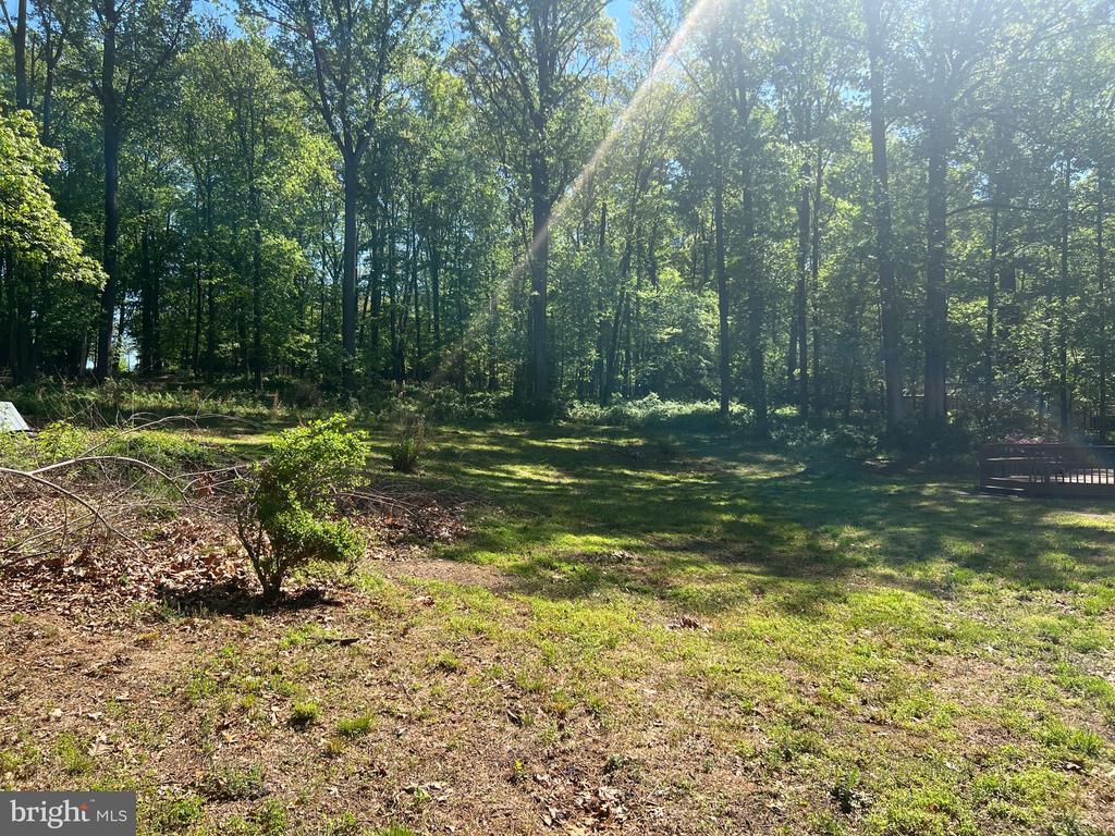 Primary Photo - 14260 Burntwoods Rd