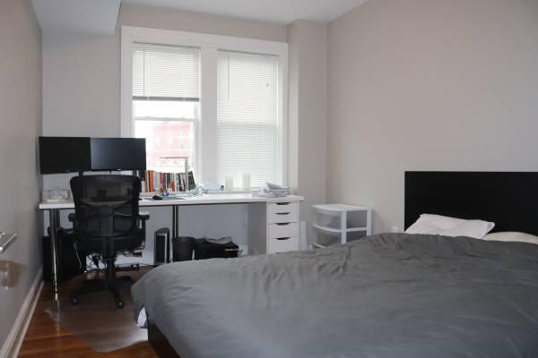 Primary Photo - 1.0 bedroom in Cambridge Massachusetts 02138