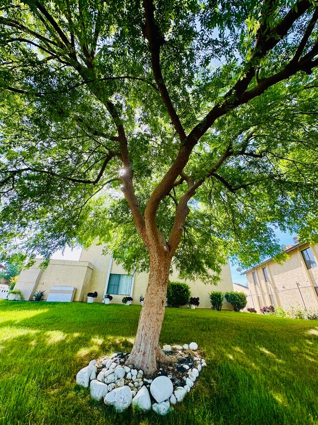 Foto del edificio - 6005 Hill Dale Ct