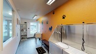 This single-floor pet grooming space is thoughtfully designed to accommodate both pets and their owners with functionality and charm. The interior is immediately eye-catching, featuring a bold orange accent wall adorned with playful black paw print and dog silhouette graphics, creating a fun and welcoming atmosphere. The centerpiece of the space is a large, professional-grade stainless steel dog bathing tub, equipped with a handheld spray hose and a clear protective side panel, ideal for efficient and comfortable pet washing. Adjacent to the tub, a utility sink provides additional washing convenience. A wooden bench offers a practical seating area for pet owners, while a branded "Woof Pros" mat at the entrance reinforces the professional identity of the facility. Open shelving along one wall is stocked with grooming products and supplies, keeping essentials organized and within easy reach. Natural light filters in through a window overlooking greenery outside, complementing the overhead fluorescent lighting to keep the space bright and well-illuminated. Light wood-look flooring ties the room together, offering a clean and durable surface suited to the demands of a grooming environment. Overall, the space strikes a balance between practicality and personality.