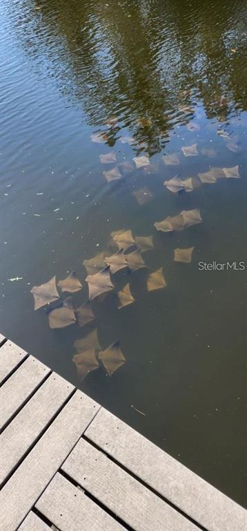 Building Photo - 350 79th Ave N