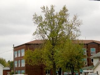 Building Photo - 1000 W Centennial Ave