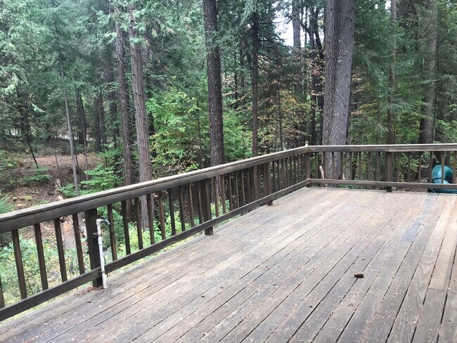 Building Photo - 4589 Jenkinson Cir