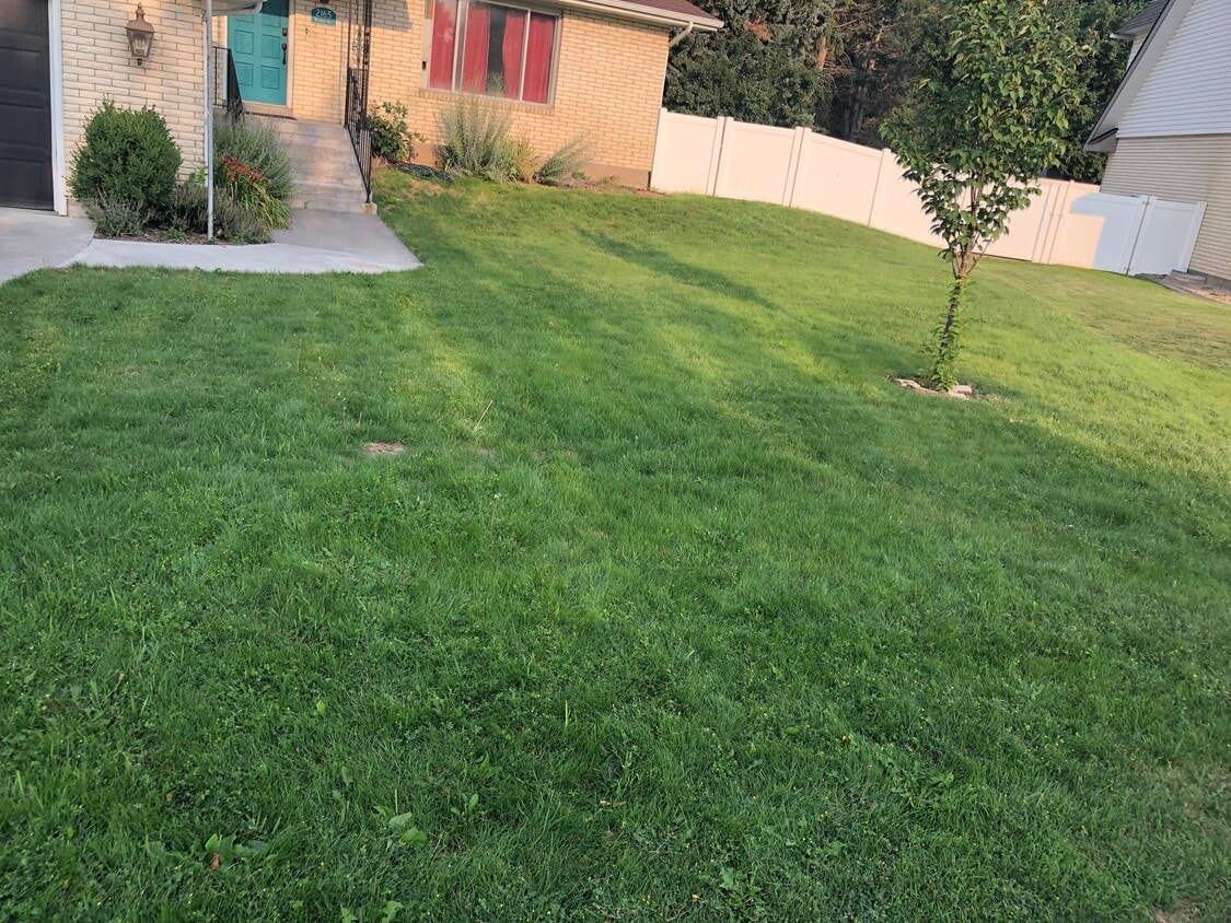 Primary Photo - 2165 Belmont Ave