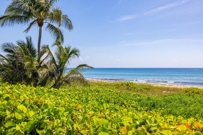 Building Photo - 2565 S Ocean Blvd