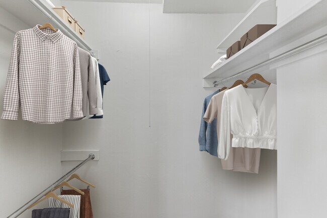Vestidor - The Statesman