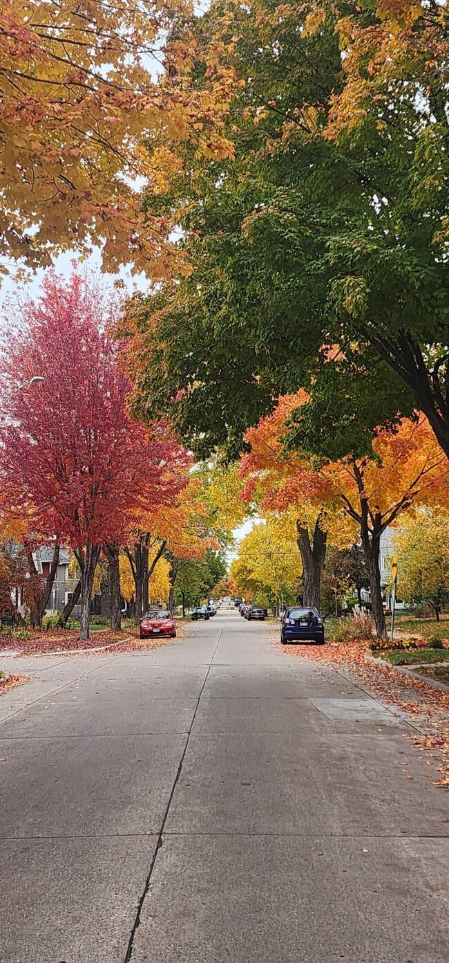 Building Photo - 1901 -2301 Fillmore Street NE Minneapolis, MN 55418