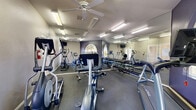 This fitness center is a single-level facility designed to support a well-rounded workout routine. The space is outfitted with a solid selection of True-brand cardio equipment, including treadmills, elliptical trainers, and stationary bikes, providing users with a variety of aerobic training options. A dedicated free weight area features a multi-tiered dumbbell rack stocked with a range of weights, suitable for both beginner and advanced strength training. Floor-to-ceiling mirrors line the walls throughout the space, visually expanding the room and allowing users to monitor their form during exercise. The flooring consists of durable, dark rubberized material well-suited for a high-use fitness environment. Overhead fluorescent lighting and ceiling fans ensure the space remains well-lit and well-ventilated during workouts. A standout architectural detail is the deep navy-purple accent wall, which features arched windows that frame views of mature trees and the surrounding outdoor landscape, bringing natural light into the space. Wall-mounted flat-screen televisions provide entertainment options during cardio sessions. French doors offer direct outdoor access, further enhancing airflow and connectivity to the exterior. The overall layout is clean, organized, and functional, making this fitness center a practical and inviting space for daily exercise.