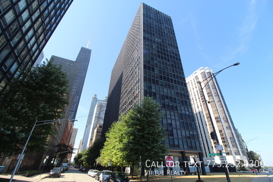 Foto principal - 900 N Lake Shore Dr