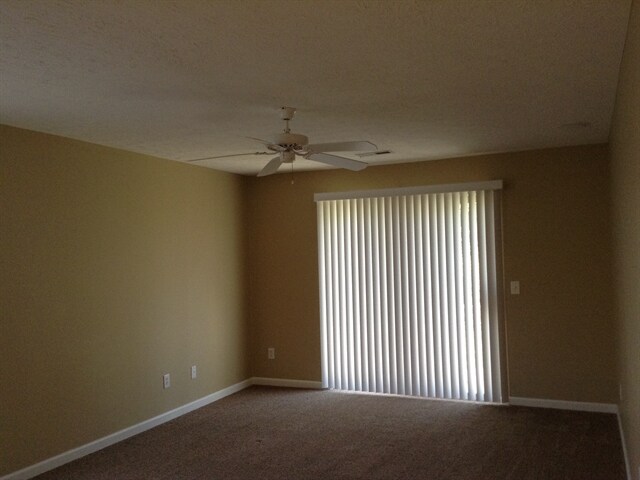 Foto del edificio - 1712 Yellow Rose Ct