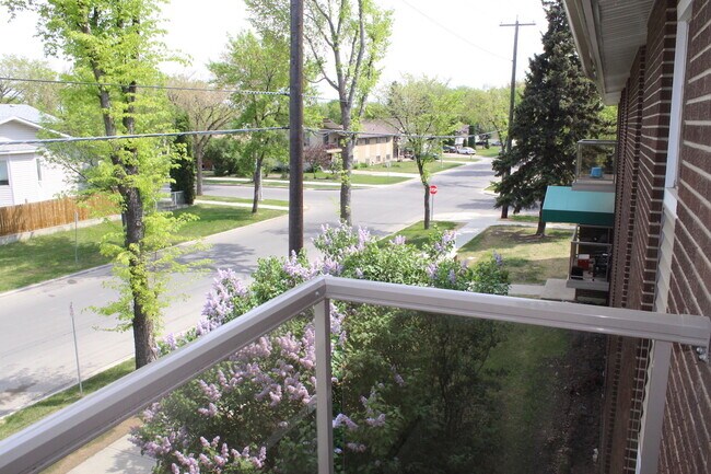 Photo du bâtiment - Willow Apartments