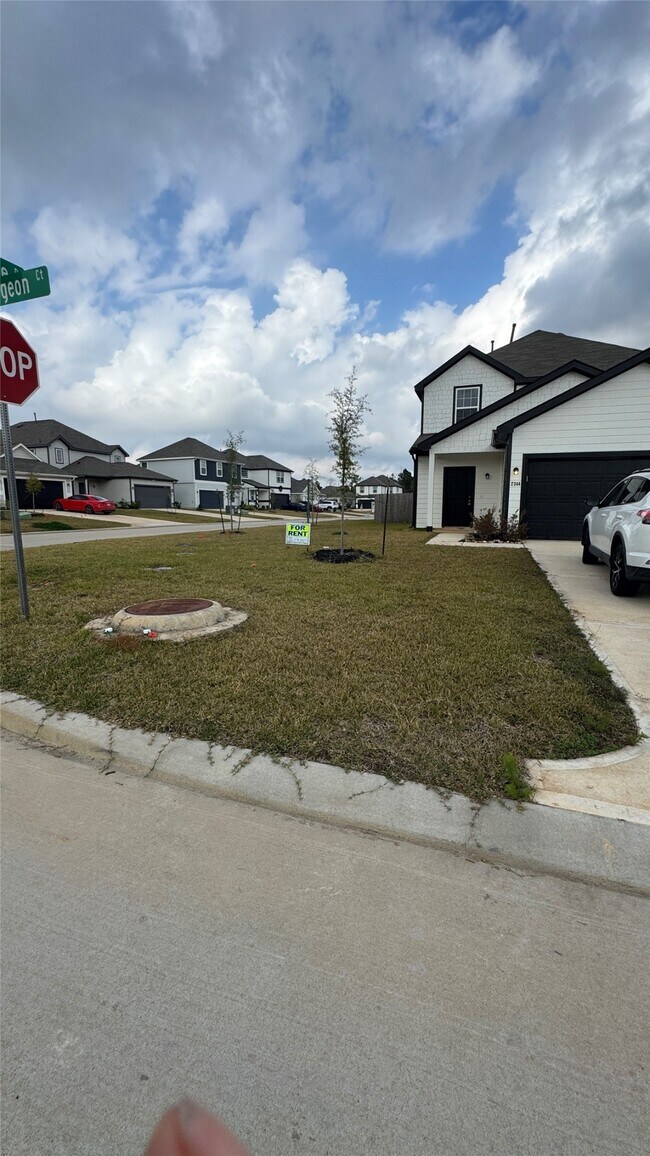 Foto del edificio - 2344 Green Sturgeon Ct