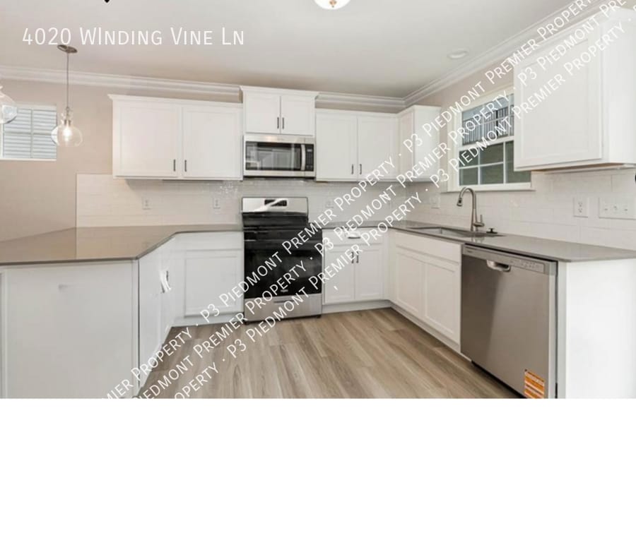 Building Photo - 4020 WInding Vine Ln
