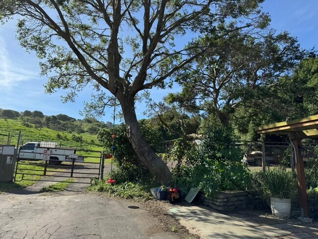 Foto del edificio - 3819 Linden Ln