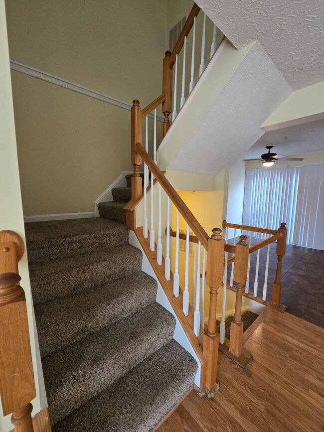 Building Photo - 4927 Bristle Cone Cir