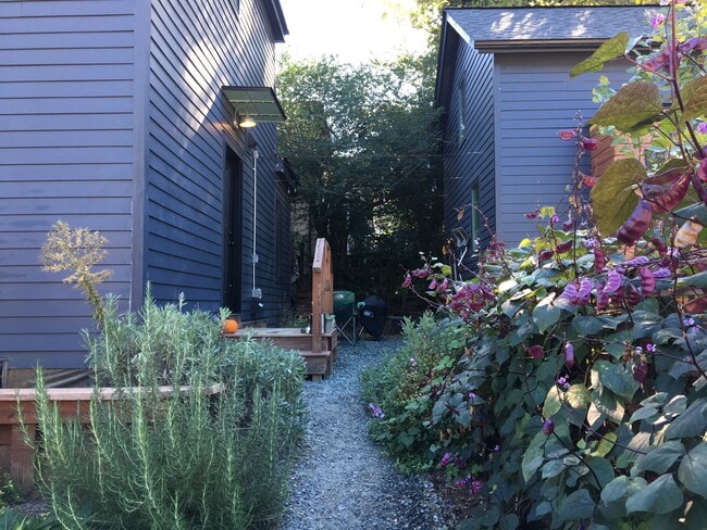 Back yard - 318 Oak Street