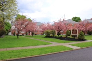 Courtyard - Steeple Bay Estates