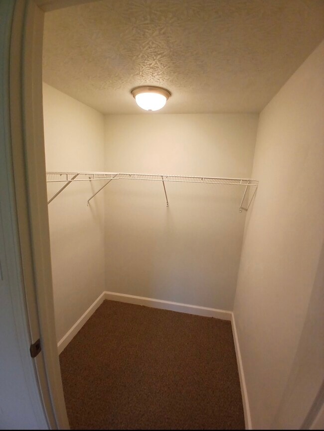 Building Photo - Deer Forest Apartments