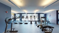 Located at 1024 S Vandeventer Ave in St. Louis, MO, this fitness center is a comprehensively equipped single-floor facility designed to support a wide range of workout routines. The space is characterized by bold navy blue accent walls, light gray ceilings, and recessed linear lighting that creates a bright, energizing atmosphere throughout.

The cardio zone is positioned along a wall of large floor-to-ceiling windows, allowing natural light to flood the space while providing exterior views. This section houses multiple Life Fitness treadmills and elliptical machines, each equipped with individual monitor screens for entertainment during workouts.

The strength training area features a robust selection of free weights, including multiple dumbbell racks with a wide range of weights, barbells, and adjustable benches. A dedicated functional training zone along one wall includes TRX suspension trainers, medicine balls, stability balls, a ladder rack, and resistance tools, catering to varied training modalities.

Additional cardio and strength machines, including cable systems and weight machines, are arranged throughout the open floor plan, ensuring ample space between equipment. Full-length mirrors along one wall enhance the sense of space and allow for form monitoring. The facility is accessed through double glass doors and maintains a clean, modern aesthetic with durable rubber and speckle flooring throughout.