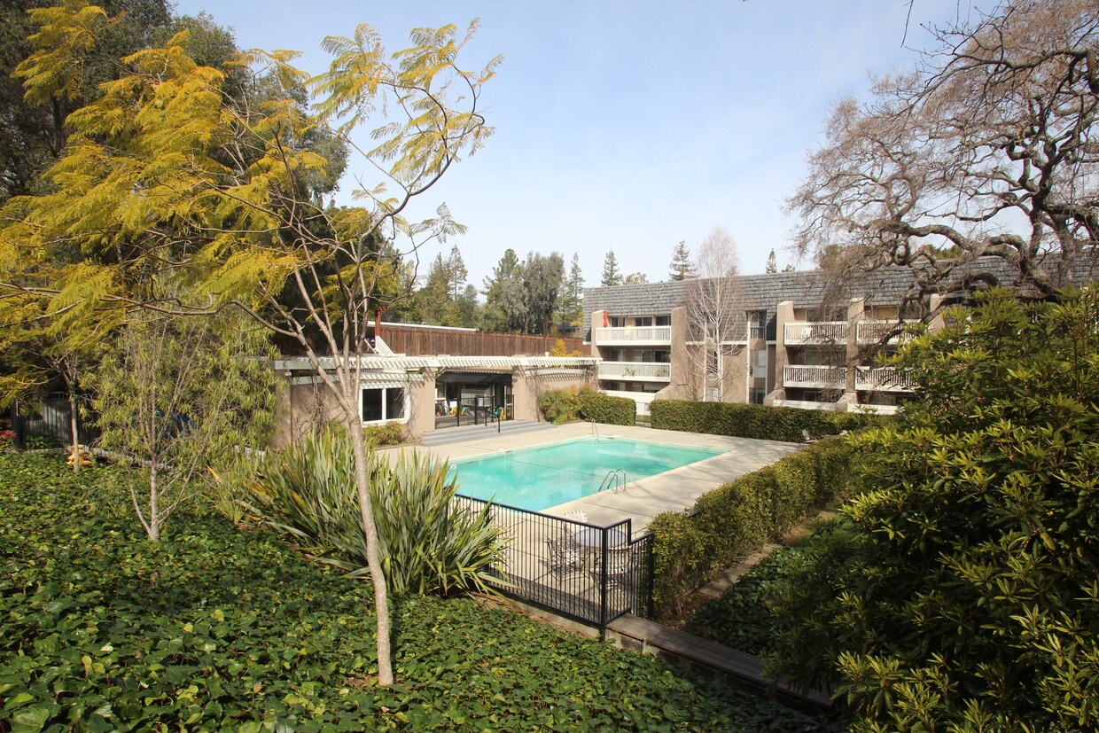 hermosa piscina - 675 Sharon Park Dr