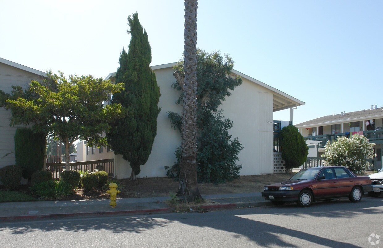 Building Photo - 924 Sharmon Palms Ln