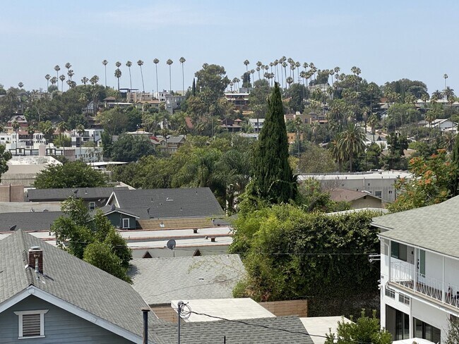 Building Photo - 1633 Micheltorena St