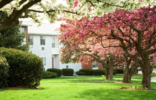 Foto del edificio - 2BR/1Bth unit in professionally managed complex, Heat/Hot Water included. Gym, pool, balcony