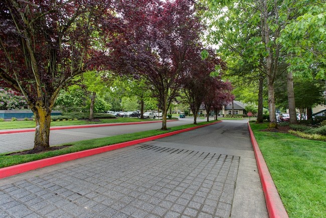 Building Photo - Commons at Creekside Apartments