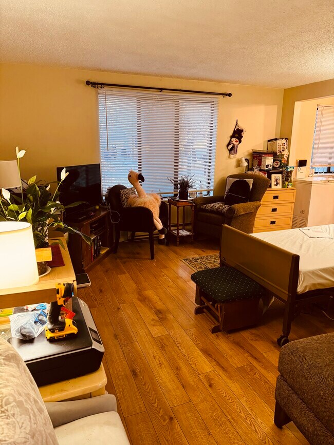 Sala de estar - 39 Lemon Tree Ct