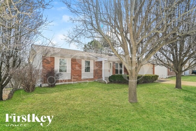 Building Photo - 706 Boca Chica Dr