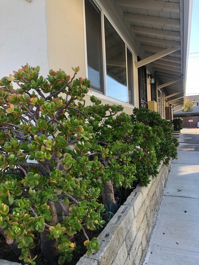 Building Photo - 1733 Noranda Dr