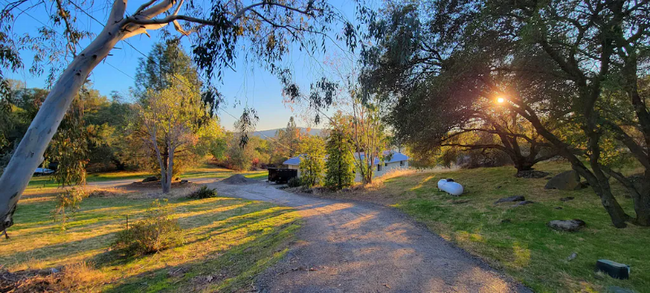 Building Photo - 29060 Long Hollow Ct N