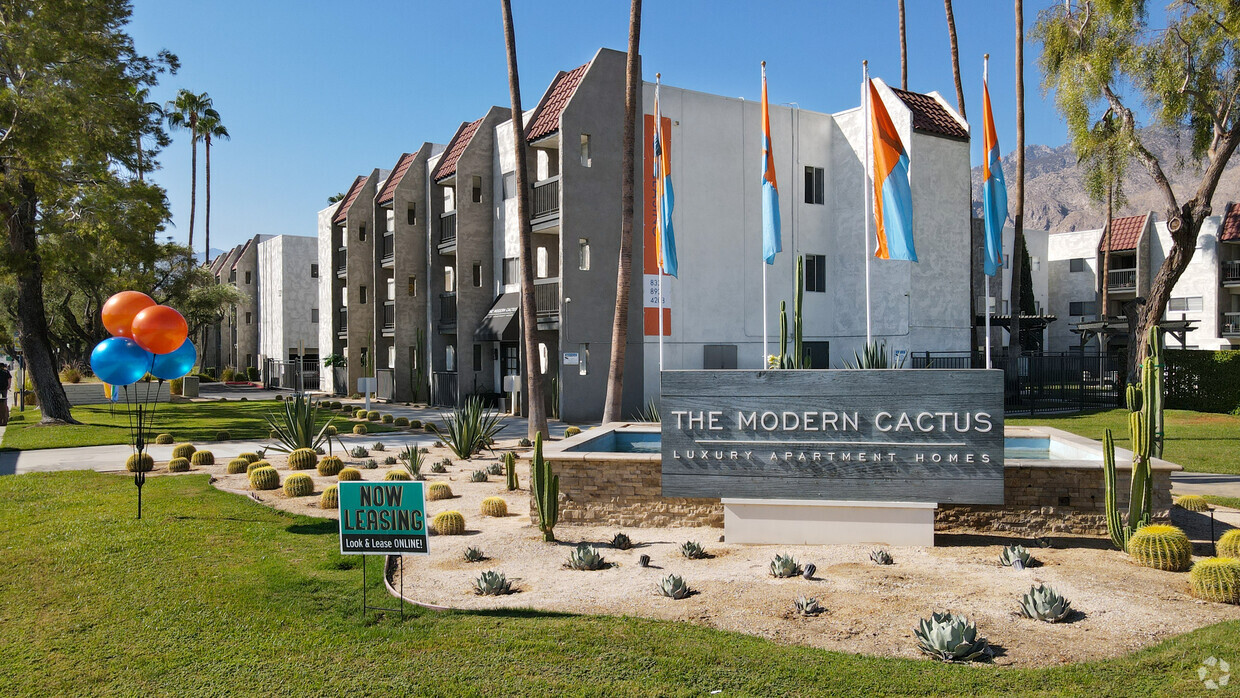 The Modern Cactus