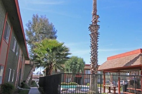 Courtyard-Pool Area - Mountain View