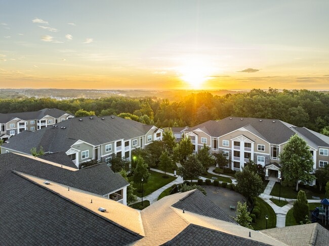 Building Photo - Oasis at Montclair