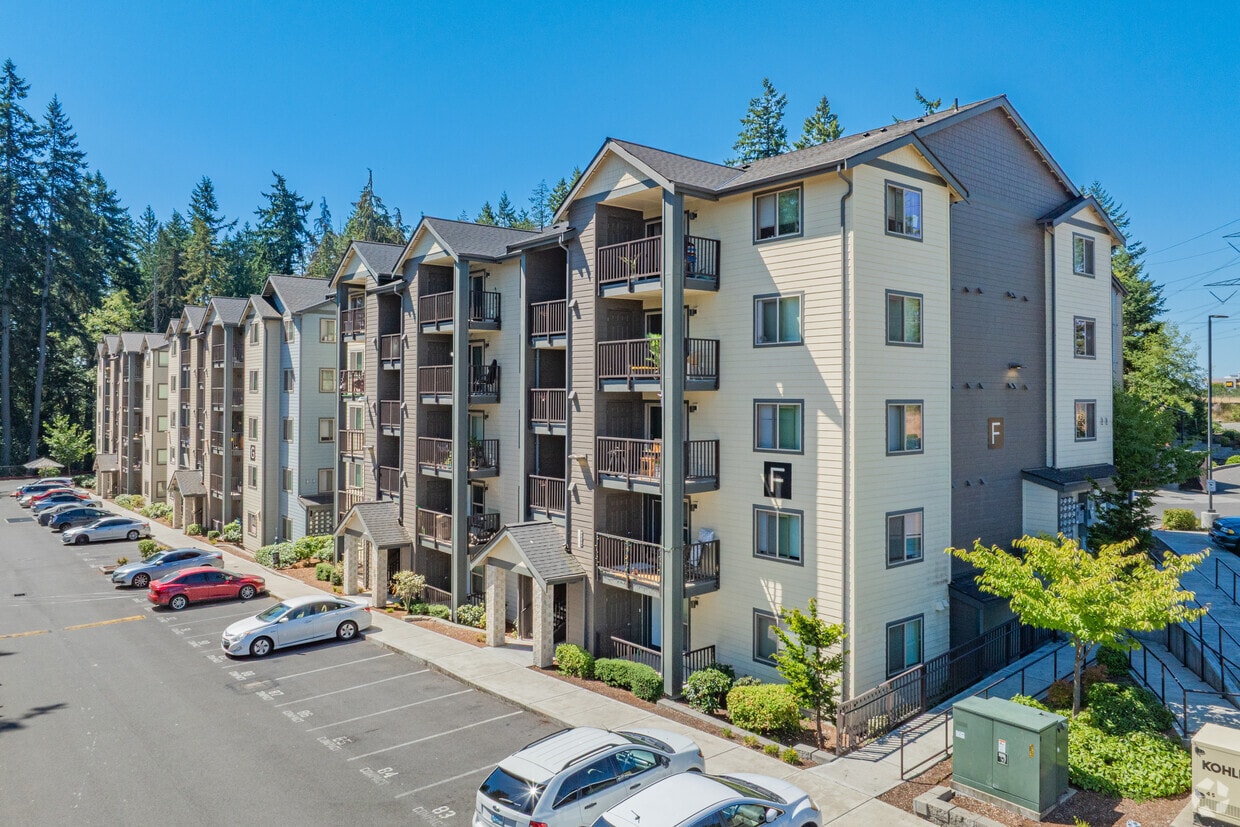 Primary Photo - Watermark