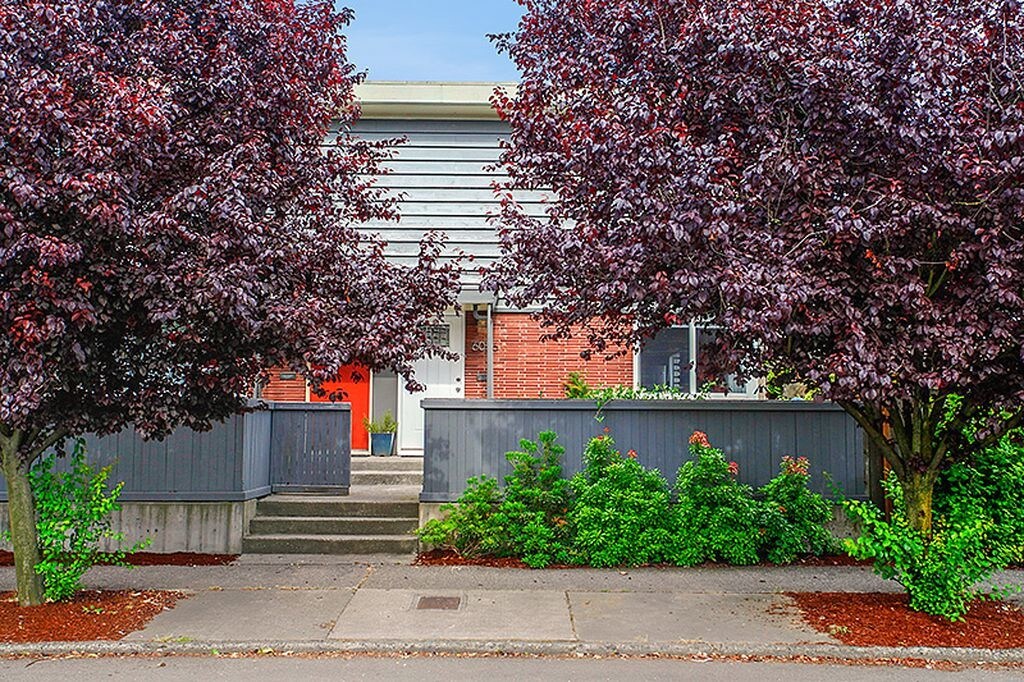 Primary Photo - 6056 Fauntleroy Way SW