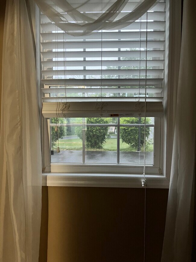Foto del edificio - 68 Appleblossom Ln