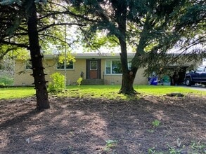 Building Photo - 15500 Wolf Rd