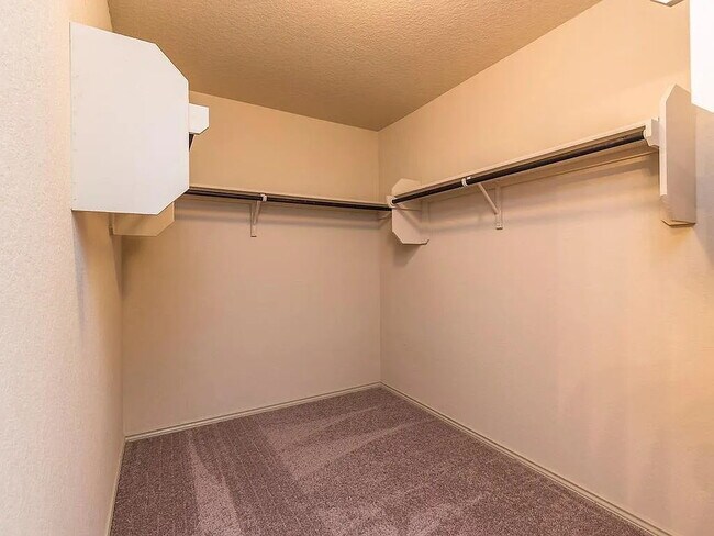 Foto del edificio - "Charming 3-Bedroom Home with 2 Full Baths in Idyllic San Marcos Location!"