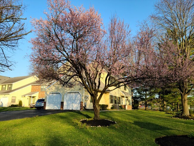 Foto del edificio - 438A Willow Turn